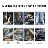 Automatic commercial fish killing machine with open belly and back