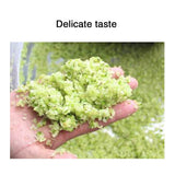 Commercial cabbage roll roller pot vegetable stuffing dumpling bun