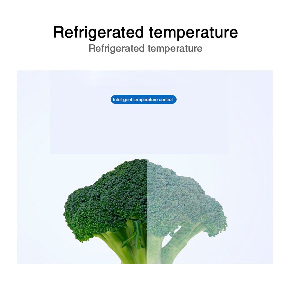 Four-door glass freezer Reach-In freezer 35cu.ft/1000 Liter – Lagopus ...